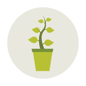 Plant 1 New Tree