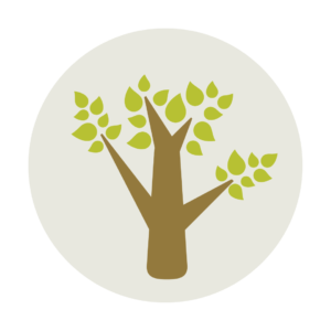 Restore a tree pit